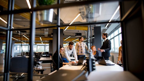 L'importance de la prévention contre les rongeurs pour les entreprises !